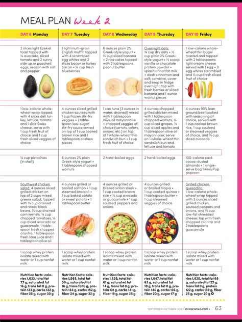 2 week protein diet plan.